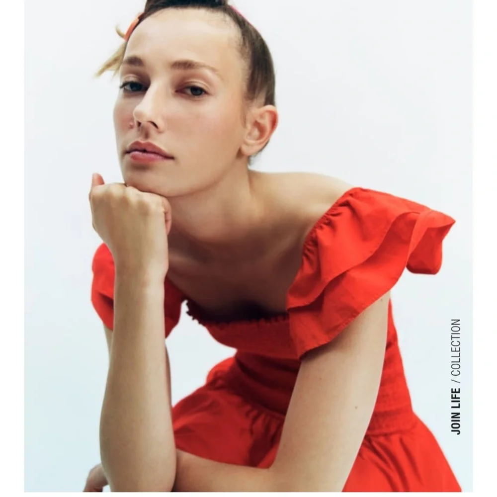ZARA RUFFLED DRESS - Picture 5 of 5